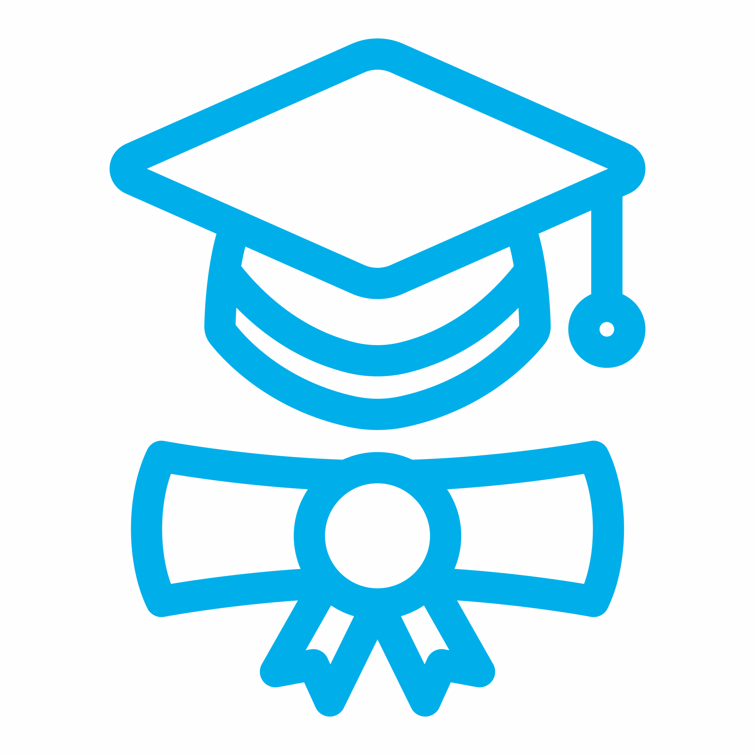 college and universities