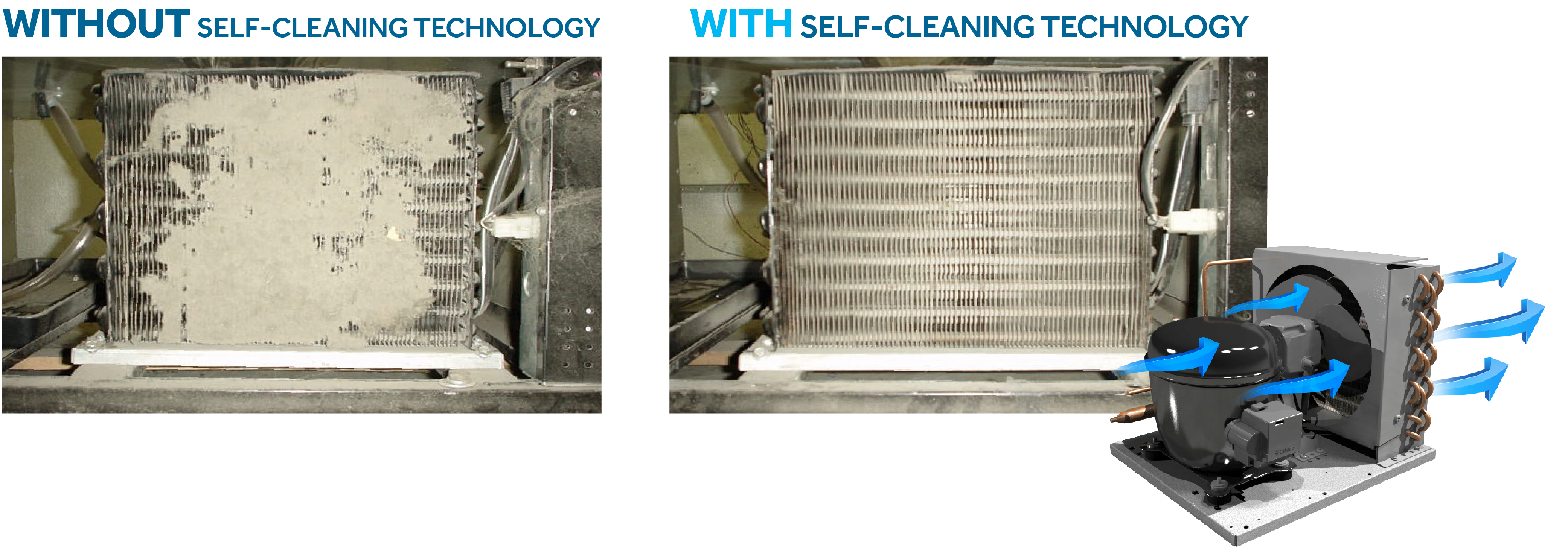 Scientific Compressor